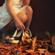 Illustration for article titled Shooting Challenge Fall Leaves Gallery 3
